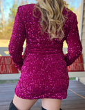 Velvet Pink Sequin Dress